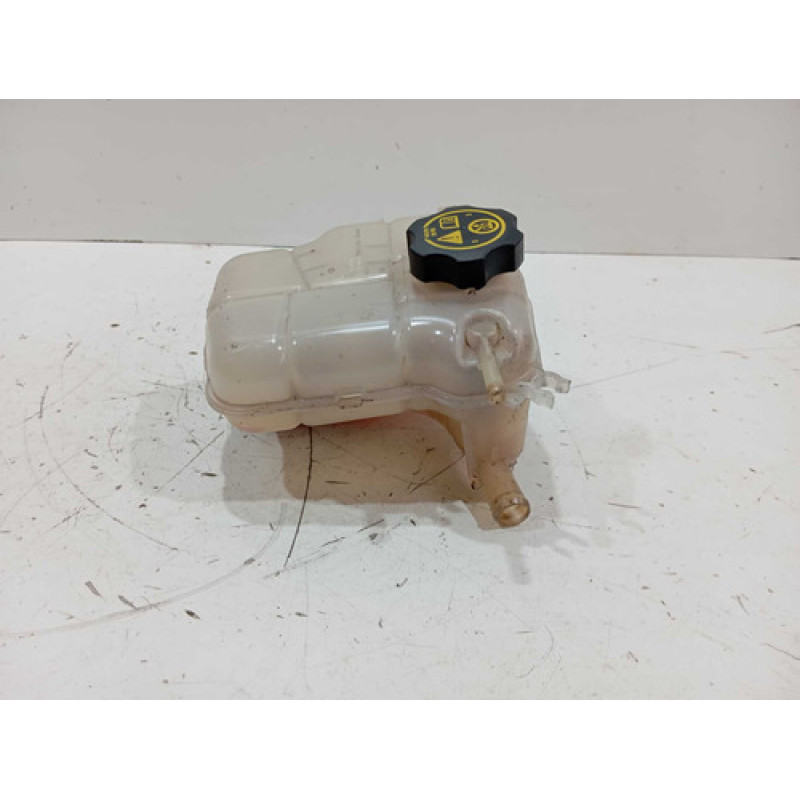 Reservário Radiador Cruze 2012 2016 13393368 Reservário Radiador Cruze 2012 2016 13393368